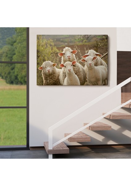 -Premier Kanvas Serileri- Koyun Kuzu Dekoratif Kanvas Tablo 1119 indirimleri