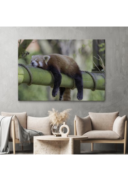 -Premier Kanvas Serileri- Kırmızı Panda Dekoratif Kanvas Tablo 1140 fiyatları