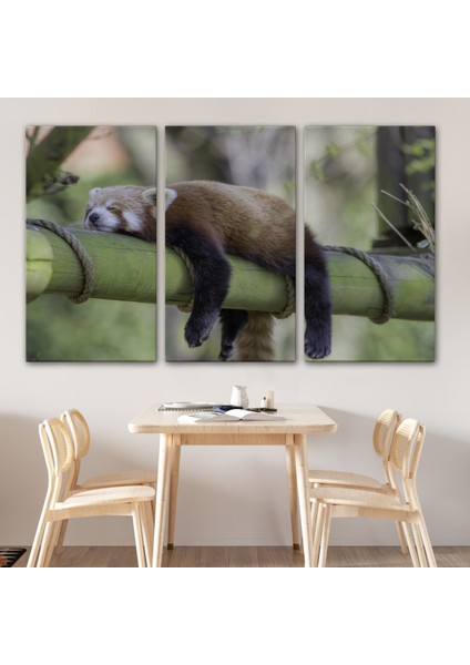 -Premier Kanvas Serileri- Kırmızı Panda Dekoratif Kanvas Tablo 1140 modelleri