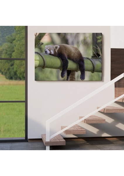 -Premier Kanvas Serileri- Kırmızı Panda Dekoratif Kanvas Tablo 1140 indirimleri