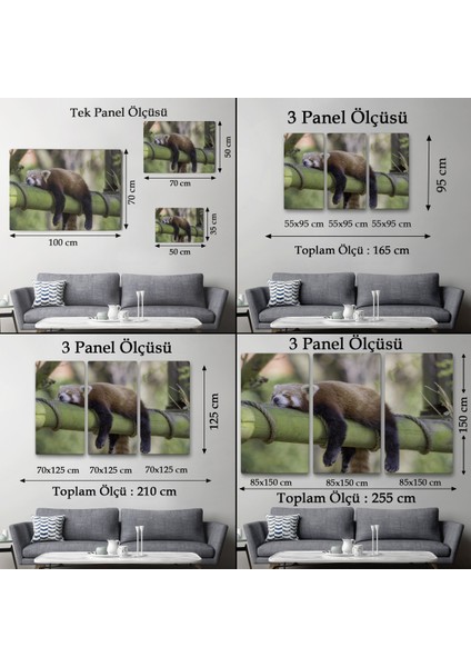 -Premier Kanvas Serileri- Kırmızı Panda Dekoratif Kanvas Tablo 1140