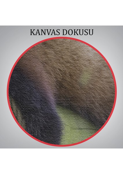 -Premier Kanvas Serileri- Kırmızı Panda Dekoratif Kanvas Tablo 1140