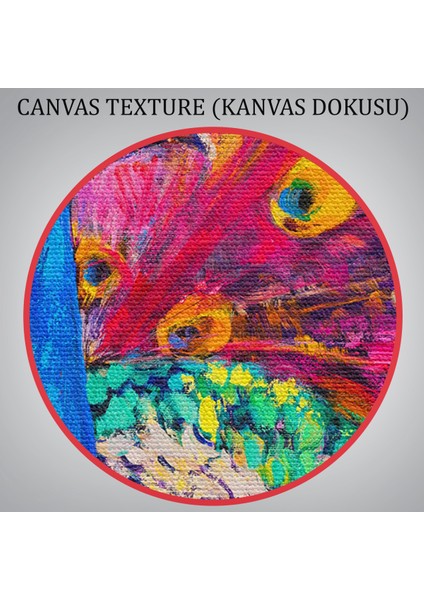 -Premier Kanvas Serileri- Çok Renkli Tavus Kuşu Modern Sanat Kanvas Duvar TABLOSU-1112