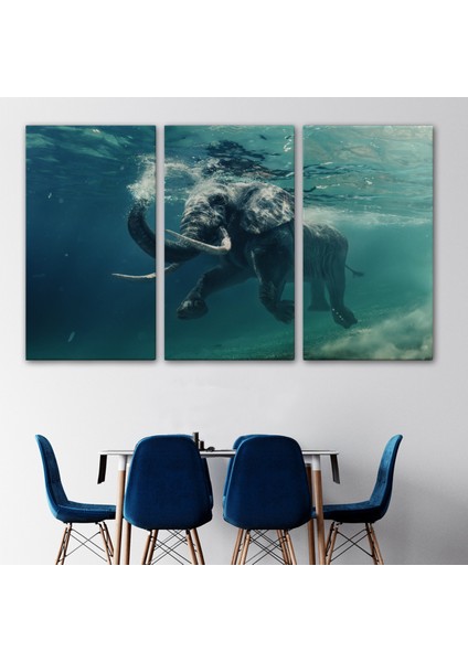 -Premier Kanvas Serileri- Yüzen Fil Dekoratif Kanvas Tablo 1128 modelleri