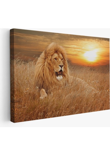 -Premier Kanvas Serileri- Erkek Aslan Dekoratif Kanvas Tablo 1138