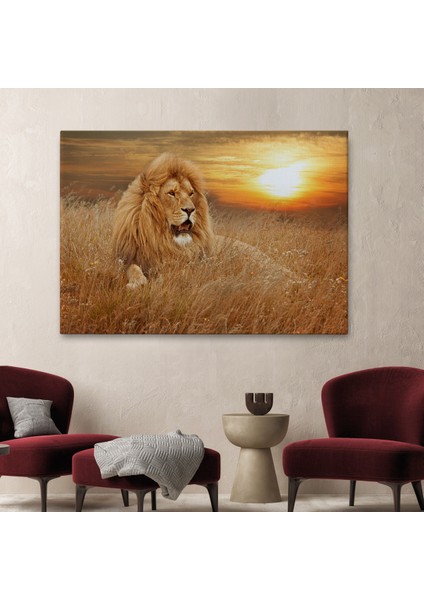 -Premier Kanvas Serileri- Erkek Aslan Dekoratif Kanvas Tablo 1138 fiyatları