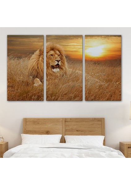 -Premier Kanvas Serileri- Erkek Aslan Dekoratif Kanvas Tablo 1138 modelleri