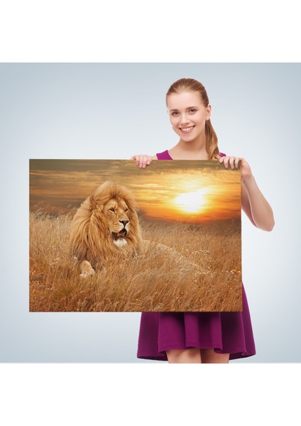 -Premier Kanvas Serileri- Erkek Aslan Dekoratif Kanvas Tablo 1138 fırsatları