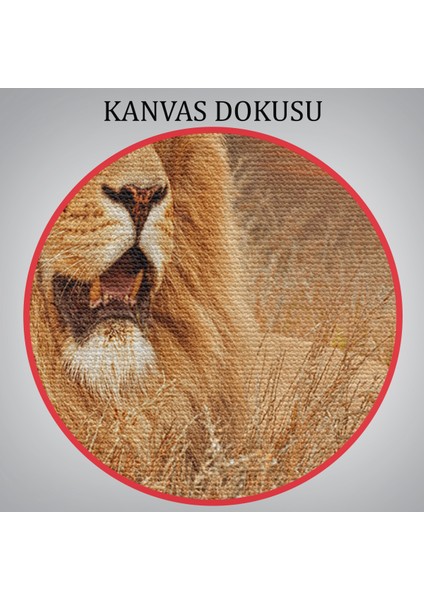 -Premier Kanvas Serileri- Erkek Aslan Dekoratif Kanvas Tablo 1138