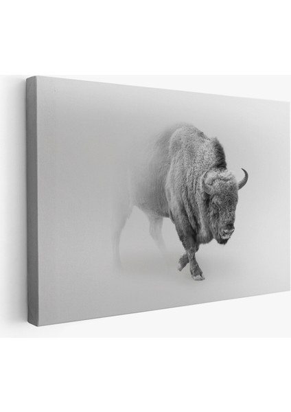 -Premier Kanvas Serileri- Bizon Dekoratif Kanvas Tablo 1160