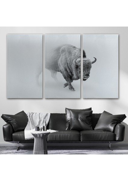 -Premier Kanvas Serileri- Bizon Dekoratif Kanvas Tablo 1160 modelleri