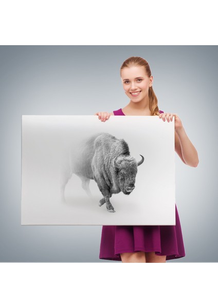 -Premier Kanvas Serileri- Bizon Dekoratif Kanvas Tablo 1160 fırsatları