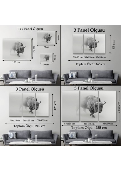 -Premier Kanvas Serileri- Bizon Dekoratif Kanvas Tablo 1160
