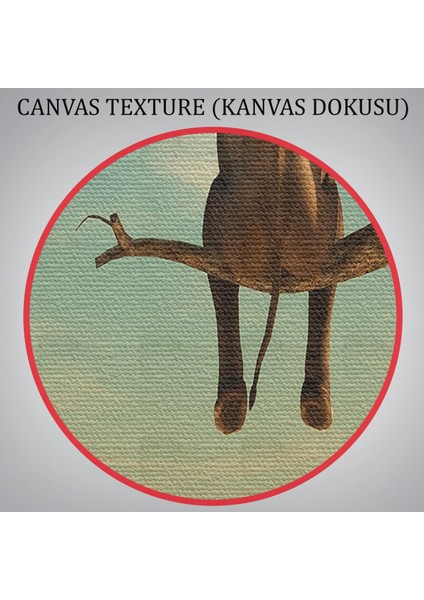 -Premier Kanvas Serileri- Ağaç Dalında Oturan Fil Dekoratif Kanvas Tablo 1171