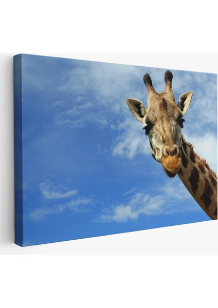 -Premier Kanvas Serileri- Zürafa Dekoratif Kanvas Tablo 1116