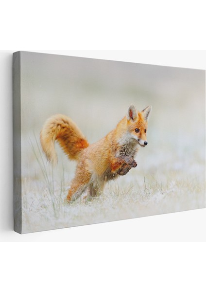 -Premier Kanvas Serileri- Tilki Dekoratif Kanvas Tablo 1165