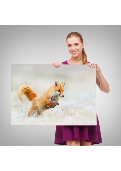 -Premier Kanvas Serileri- Tilki Dekoratif Kanvas Tablo 1165 fırsatları