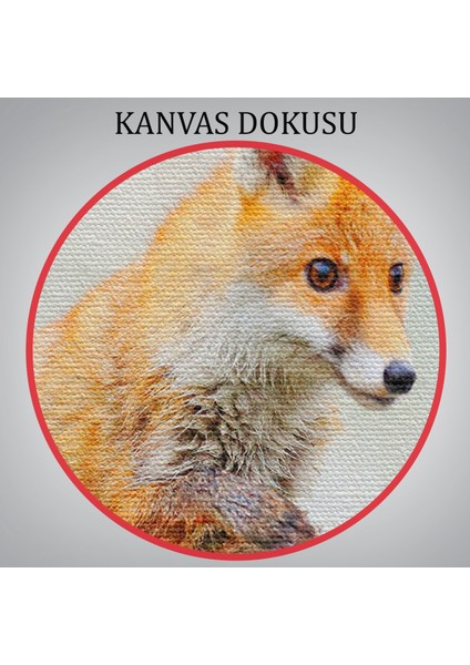 -Premier Kanvas Serileri- Tilki Dekoratif Kanvas Tablo 1165