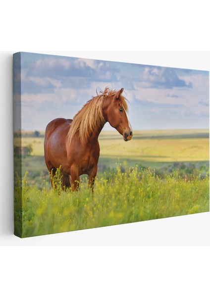 -Premier Kanvas Serileri- At ve Manzaralı Dekoratif Kanvas Tablo 1131