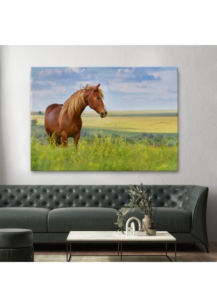 -Premier Kanvas Serileri- At ve Manzaralı Dekoratif Kanvas Tablo 1131 fiyatları
