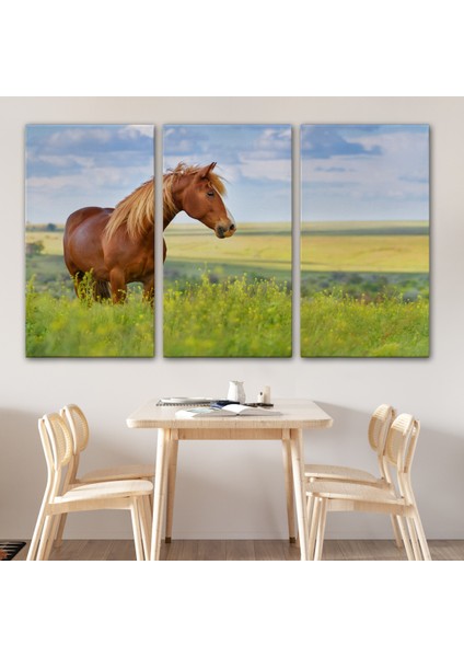 -Premier Kanvas Serileri- At ve Manzaralı Dekoratif Kanvas Tablo 1131 modelleri
