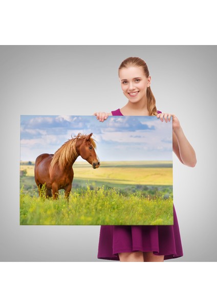 -Premier Kanvas Serileri- At ve Manzaralı Dekoratif Kanvas Tablo 1131 fırsatları