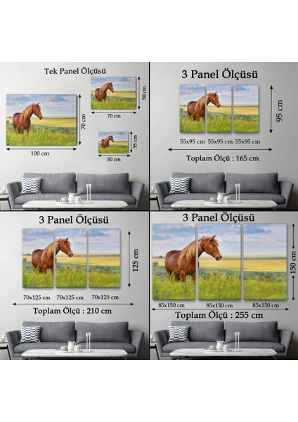 -Premier Kanvas Serileri- At ve Manzaralı Dekoratif Kanvas Tablo 1131