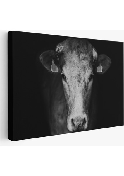 -Premier Kanvas Serileri- Inek Dekoratif Kanvas Tablo 1137