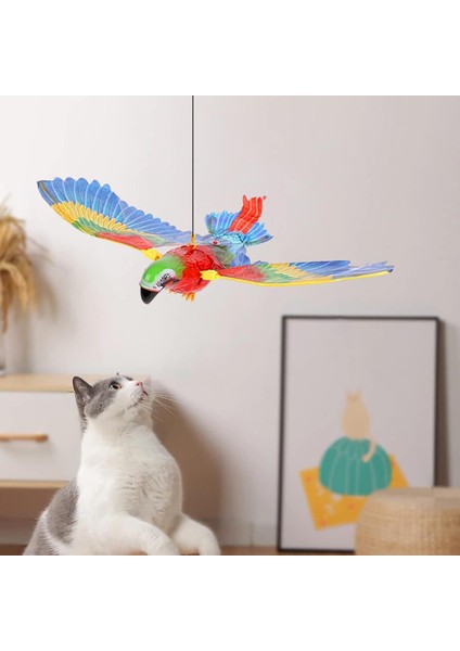 Uçan Papağan Kedi Oyuncağı modelleri