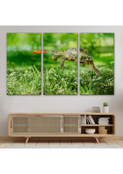 -Premier Kanvas Serileri- Uçan Kaplunbağa Dekoratif Kanvas Tablo 1122 modelleri