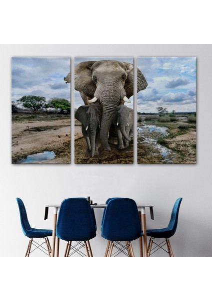 -Premier Kanvas Serileri- Fil ve Yavruları Dekoratif Kanvas Tablo 1134 modelleri