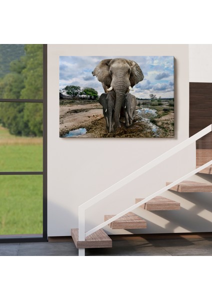 -Premier Kanvas Serileri- Fil ve Yavruları Dekoratif Kanvas Tablo 1134 indirimleri