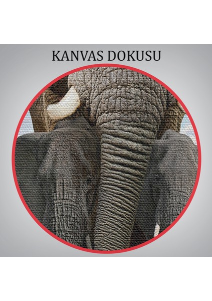 -Premier Kanvas Serileri- Fil ve Yavruları Dekoratif Kanvas Tablo 1134