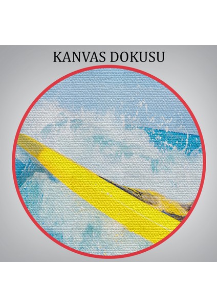 -Premier Kanvas Serileri- Su Kayağı Yapan Köpek Dekoratif Kanvas Tablo 1155