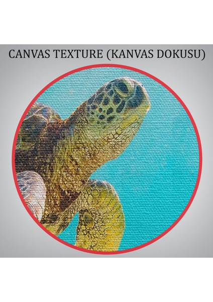 -Premier Kanvas Serileri- Caremarkanızdrpkanvasa Caremarkanızdrpkanvasa Dekoratif Kanvas Tablo 1174