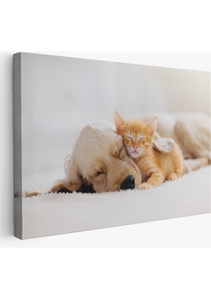 -Premier Kanvas Serileri- Golden Köpek Ile Uyuyan Yavru Kedi Dekoratif Kanvas Tablo 1176