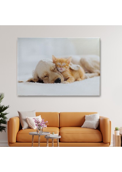 -Premier Kanvas Serileri- Golden Köpek Ile Uyuyan Yavru Kedi Dekoratif Kanvas Tablo 1176 fiyatları