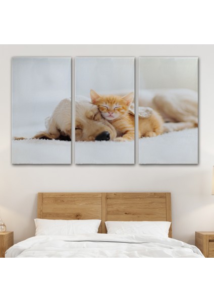 -Premier Kanvas Serileri- Golden Köpek Ile Uyuyan Yavru Kedi Dekoratif Kanvas Tablo 1176 modelleri