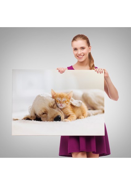 -Premier Kanvas Serileri- Golden Köpek Ile Uyuyan Yavru Kedi Dekoratif Kanvas Tablo 1176 fırsatları