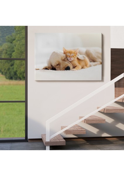 -Premier Kanvas Serileri- Golden Köpek Ile Uyuyan Yavru Kedi Dekoratif Kanvas Tablo 1176 indirimleri