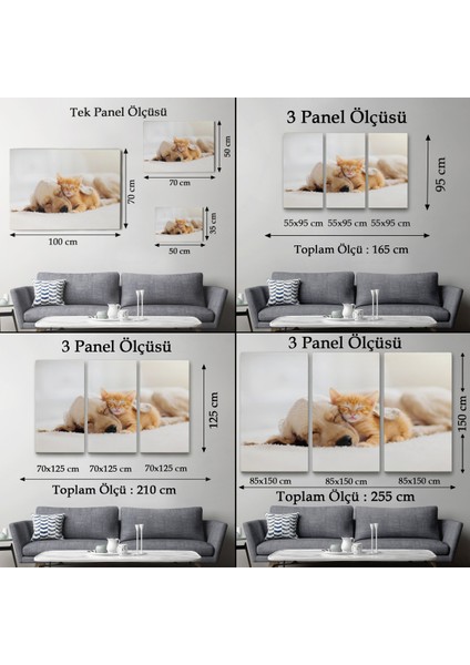 -Premier Kanvas Serileri- Golden Köpek Ile Uyuyan Yavru Kedi Dekoratif Kanvas Tablo 1176