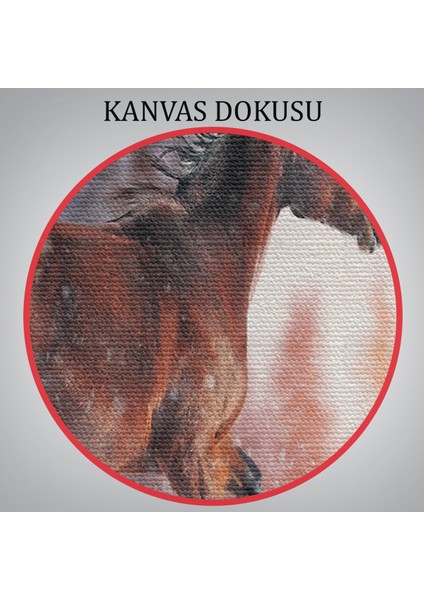 -Premier Kanvas Serileri- Karda Koşan At Dekoratif Kanvas Tablo 1133