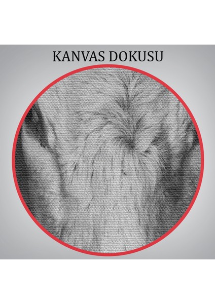 -Premier Kanvas Serileri- Inek Dekoratif Kanvas Tablo 1137