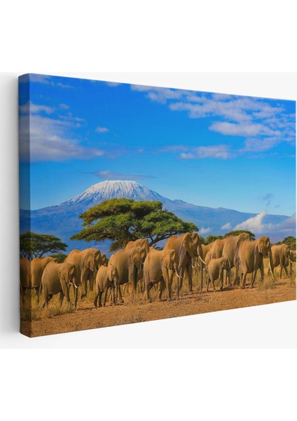 -Premier Kanvas Serileri- Fil Sürüsü Dekoratif Kanvas Tablo 1143