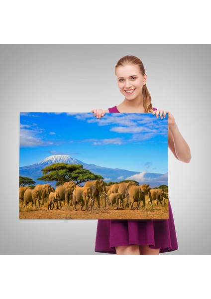 -Premier Kanvas Serileri- Fil Sürüsü Dekoratif Kanvas Tablo 1143 fırsatları