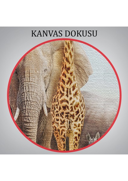 -Premier Kanvas Serileri- Hayvanlar Alemi Dekoratif Kanvas Tablo 1146