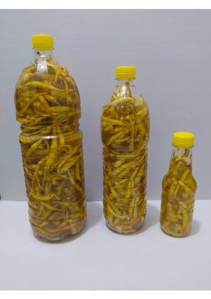 Doğal Adana Yayla Biber Turşusu Hafif Acı 2 Litre (4 Adet) fiyatları
