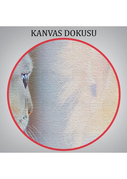 -Premier Kanvas Serileri- Kendini Aslan Gören Kedi Dekoratif Kanvas Tablo 1175