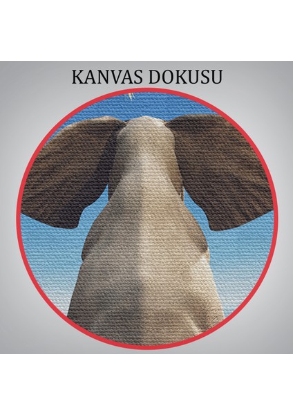 -Premier Kanvas Serileri- Fil Dekoratif Kanvas Tablo 1141