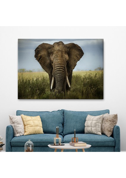 -Premier Kanvas Serileri- Fil Dekoratif Kanvas Tablo 1121 fiyatları